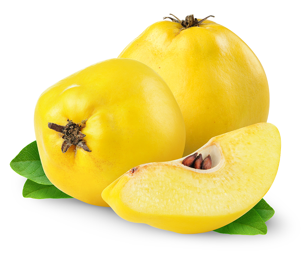 shutterstock_71515072LR.jpg